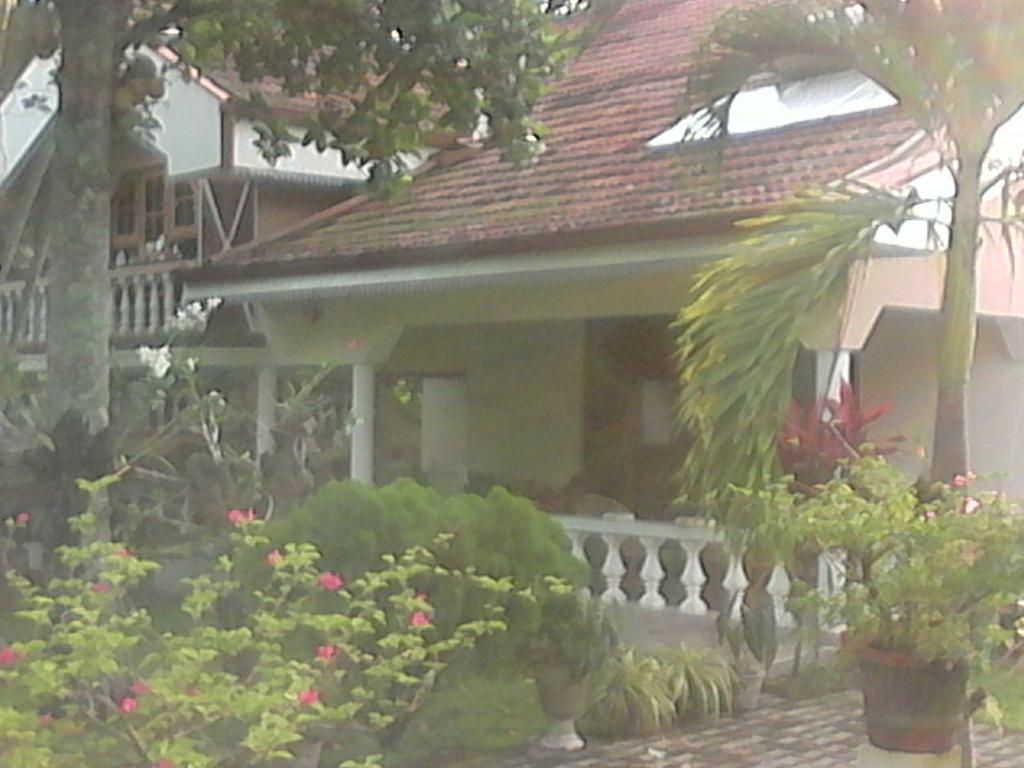 Villa Pala Негомбо Екстер'єр фото